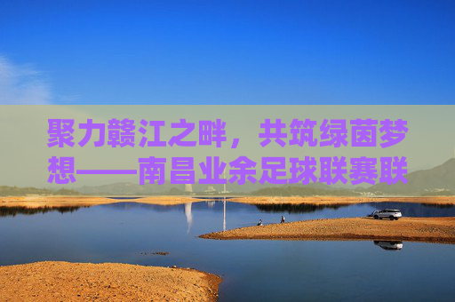 聚力赣江之畔，共筑绿茵梦想——南昌业余足球联赛联盟的崛起与展望