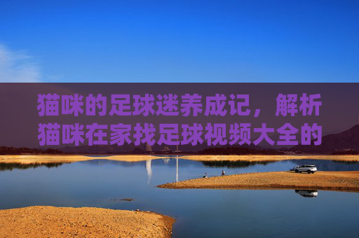 猫咪的足球迷养成记，解析猫咪在家找足球视频大全的趣味瞬间