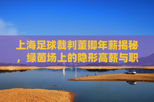 上海足球裁判董卿年薪揭秘，绿茵场上的隐形高薪与职业尊严