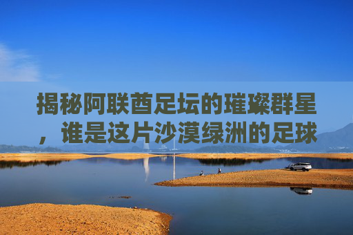 揭秘阿联酋足坛的璀璨群星，谁是这片沙漠绿洲的足球英雄？