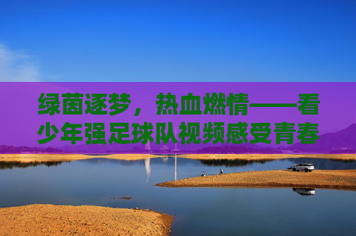 绿茵逐梦，热血燃情——看少年强足球队视频感受青春力量