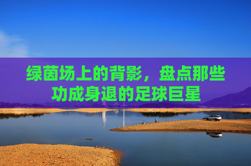 绿茵场上的背影,盘点那些功成身退的足球巨星