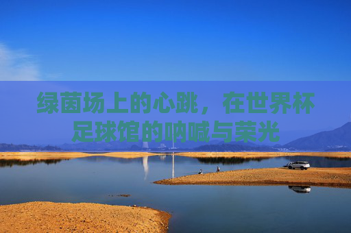 绿茵场上的心跳,在世界杯足球馆的呐喊与荣光