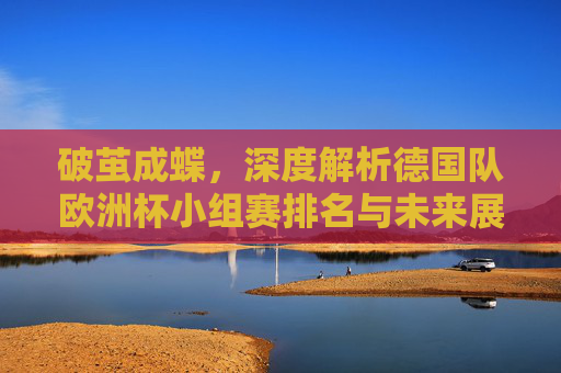破茧成蝶,深度解析德国队欧洲杯小组赛排名与未来展望