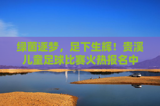 绿茵逐梦,足下生辉!贵溪儿童足球比赛火热报名中