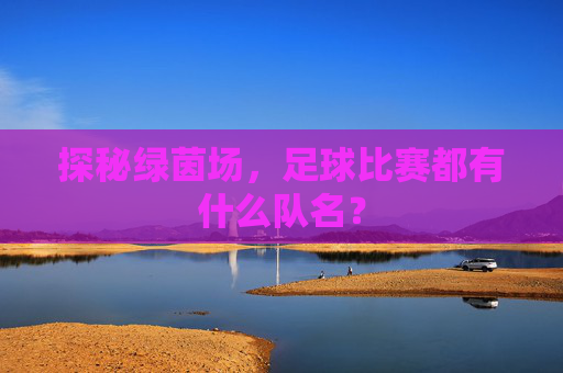 探秘绿茵场，足球比赛都有什么队名？