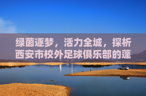 绿茵逐梦,活力全城,探析西安市校外足球俱乐部的蓬勃发展