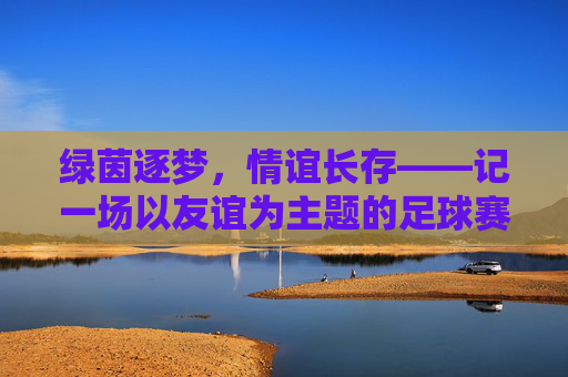 绿茵逐梦，情谊长存——记一场以友谊为主题的足球赛