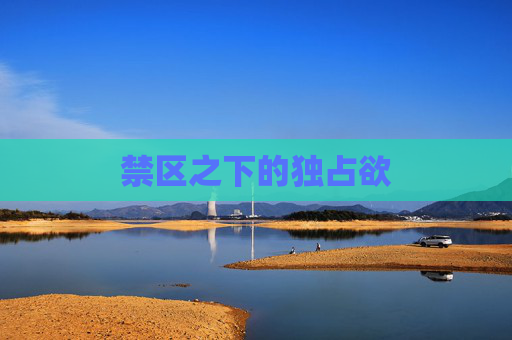 禁区之下的独占欲