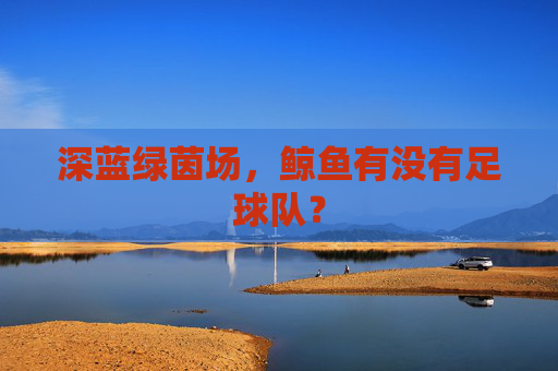 深蓝绿茵场,鲸鱼有没有足球队?