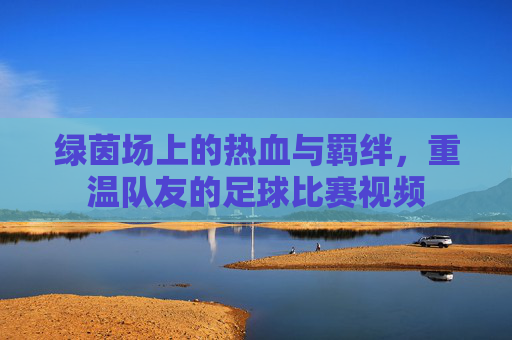 绿茵场上的热血与羁绊,重温队友的足球比赛视频