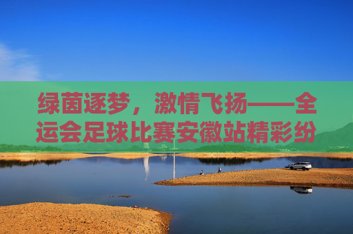 绿茵逐梦，激情飞扬——全运会足球比赛安徽站精彩纷呈
