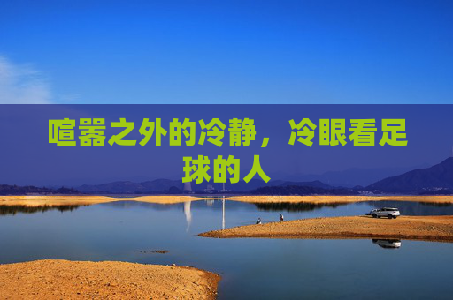喧嚣之外的冷静，冷眼看足球的人