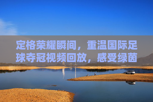 定格荣耀瞬间,重温国际足球夺冠视频回放,感受绿茵场上的极致狂热
