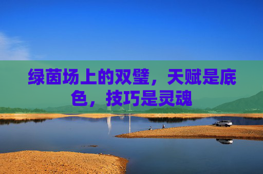 绿茵场上的双璧,天赋是底色,技巧是灵魂
