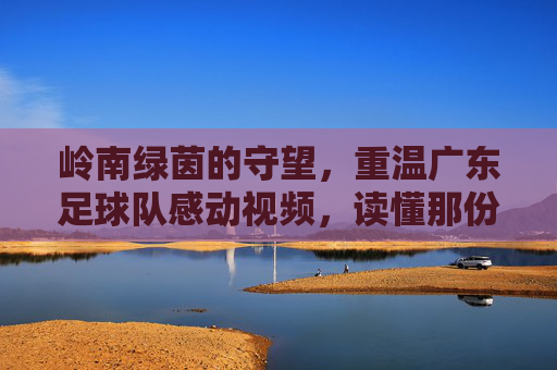岭南绿茵的守望,重温广东足球队感动视频,读懂那份滚烫的初心
