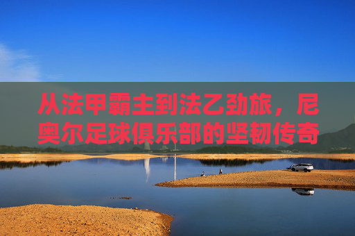 从法甲霸主到法乙劲旅，尼奥尔足球俱乐部的坚韧传奇