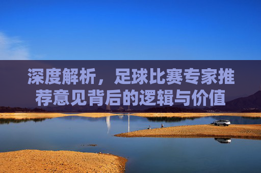 深度解析,足球比赛专家推荐意见背后的逻辑与价值