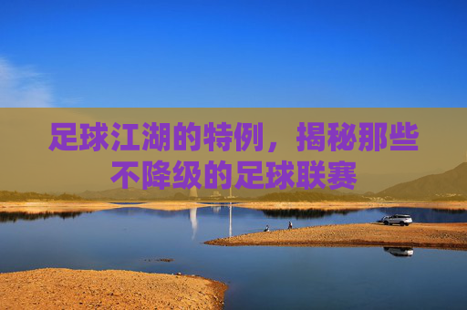 足球江湖的特例,揭秘那些不降级的足球联赛