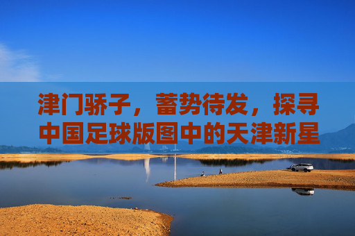 津门骄子,蓄势待发,探寻中国足球版图中的天津新星