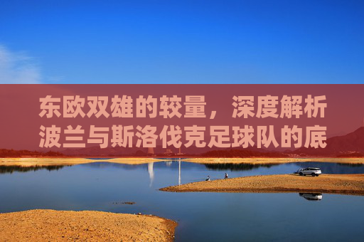 东欧双雄的较量,深度解析波兰与斯洛伐克足球队的底蕴与未来