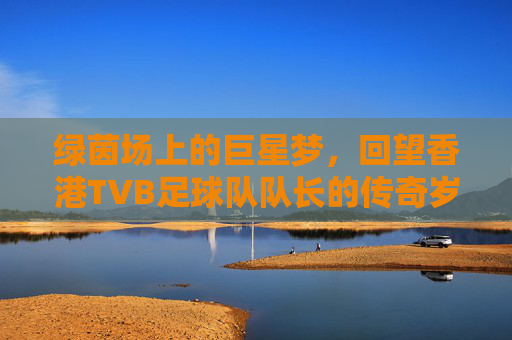 绿茵场上的巨星梦,回望香港TVB足球队队长的传奇岁月