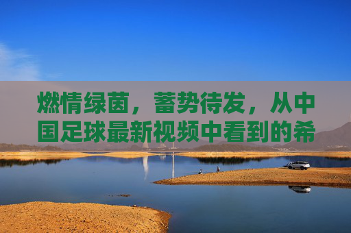 燃情绿茵,蓄势待发,从中国足球最新视频中看到的希望与未来
