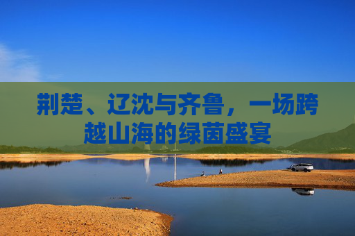 荆楚、辽沈与齐鲁,一场跨越山海的绿茵盛宴