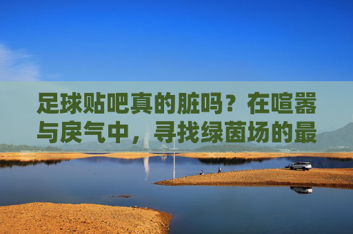 足球贴吧真的脏吗?在喧嚣与戾气中,寻找绿茵场的最后一块净土