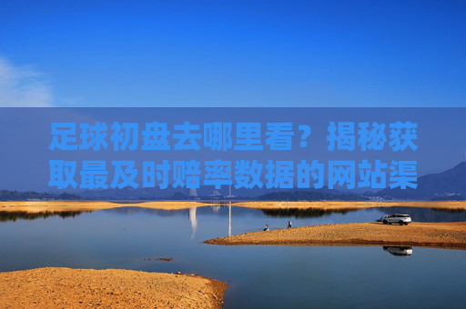 足球初盘去哪里看?揭秘获取最及时赔率数据的网站渠道