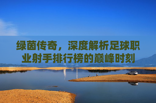 绿茵传奇,深度解析足球职业射手排行榜的巅峰时刻