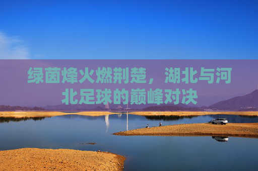绿茵烽火燃荆楚,湖北与河北足球的巅峰对决