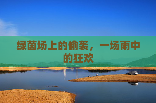 绿茵场上的偷袭,一场雨中的狂欢
