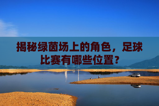 揭秘绿茵场上的角色,足球比赛有哪些位置?