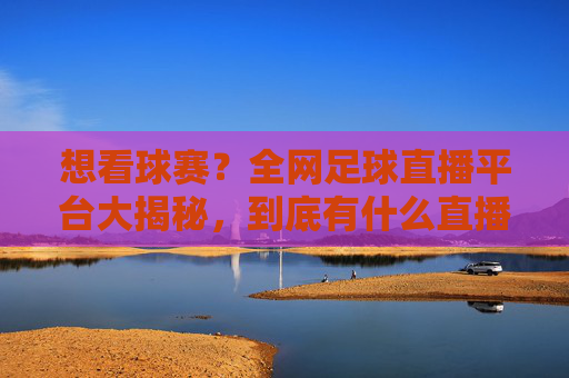 想看球赛?全网足球直播平台大揭秘,到底有什么直播足球比赛