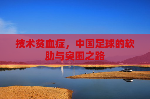 技术贫血症,中国足球的软肋与突围之路