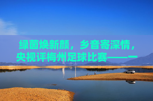 绿茵焕新颜,乡音寄深情,央视评梅州足球比赛——一场关于热爱与传承的盛会