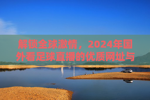 解锁全球激情,2024年国外看足球直播的优质网址与观看指南
