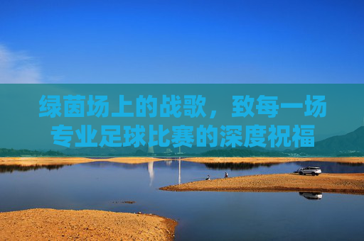 绿茵场上的战歌，致每一场专业足球比赛的深度祝福