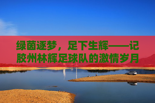 绿茵逐梦,足下生辉——记胶州林辉足球队的激情岁月