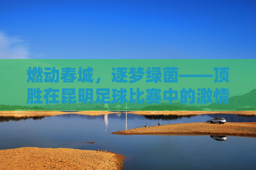 燃动春城,逐梦绿茵——顶胜在昆明足球比赛中的激情时刻