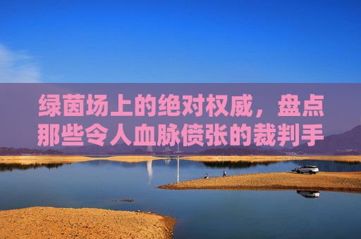 绿茵场上的绝对权威,盘点那些令人血脉偾张的裁判手势
