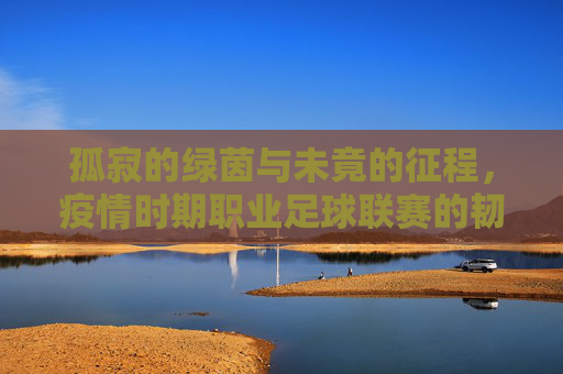 孤寂的绿茵与未竟的征程,疫情时期职业足球联赛的韧性重构
