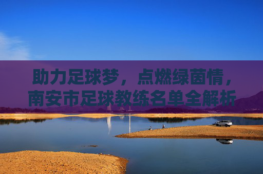 助力足球梦,点燃绿茵情,南安市足球教练名单全解析