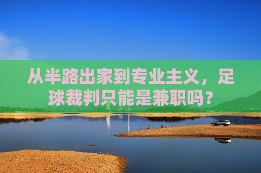从半路出家到专业主义,足球裁判只能是兼职吗?