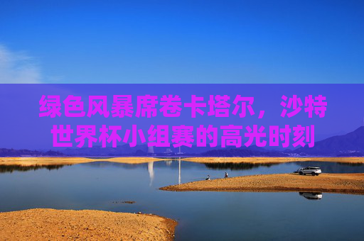 绿色风暴席卷卡塔尔,沙特世界杯小组赛的高光时刻