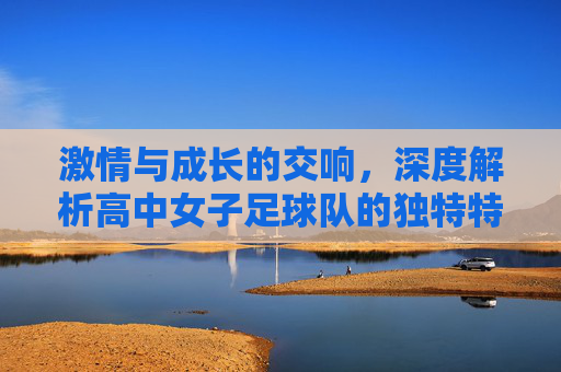 激情与成长的交响，深度解析高中女子足球队的独特特质
