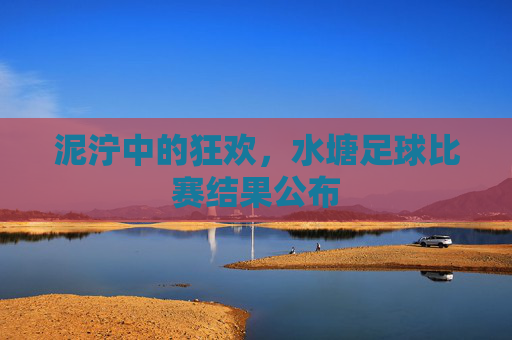 泥泞中的狂欢,水塘足球比赛结果公布