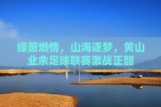 绿茵燃情,山海逐梦,黄山业余足球联赛激战正酣