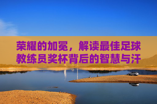 荣耀的加冕,解读最佳足球教练员奖杯背后的智慧与汗水